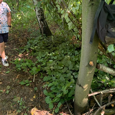 Półkolonie 2021, turnus IV: Survivalowe przygody, zdjęcie 108